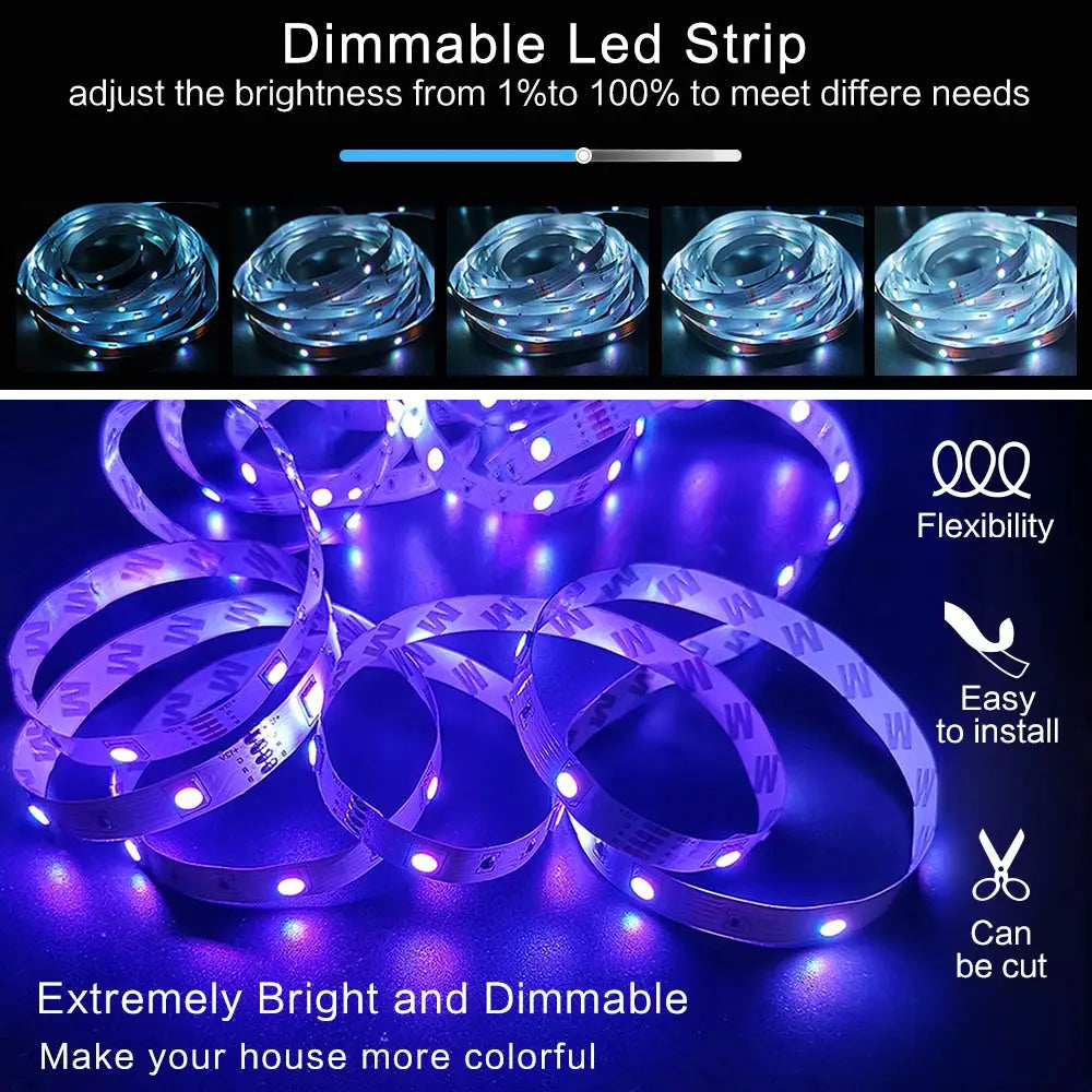 12V RGB LED Strips Wifi Bluetooth Infrared 30M 25M 20M 15M 5M 10M Lights for Room Diode Tape Flexible Ribbon Lamp Power Adapter