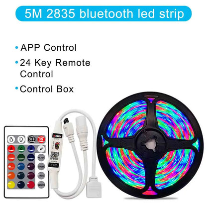 12V RGB LED Strips Wifi Bluetooth Infrared 30M 25M 20M 15M 5M 10M Lights for Room Diode Tape Flexible Ribbon Lamp Power Adapter